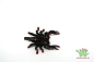 Preview: Schleich Skorpion 14857